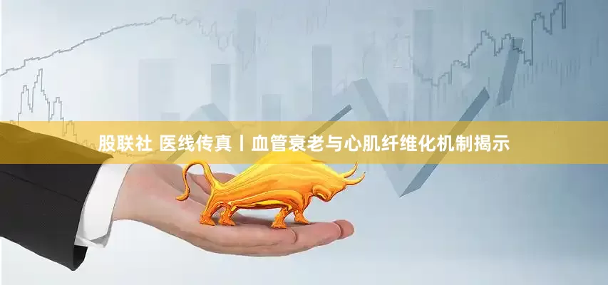 股联社 医线传真丨血管衰老与心肌纤维化机制揭示